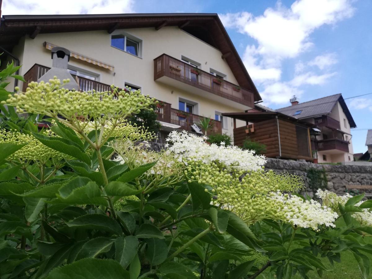 Apartments Mas Dovje Exterior photo